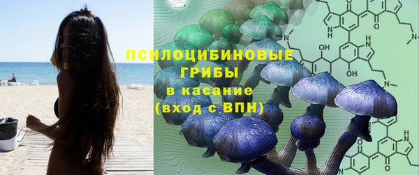дурь Зеленокумск