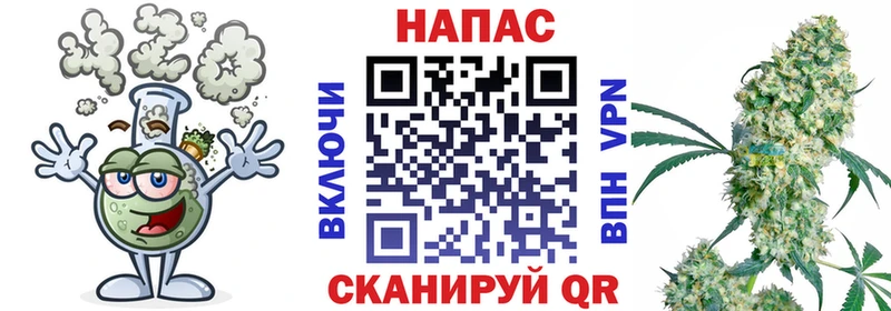 Конопля White Widow  купить наркоту  Севск 